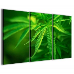 Quadro Poster Tela Cannabis Foliage 120x90