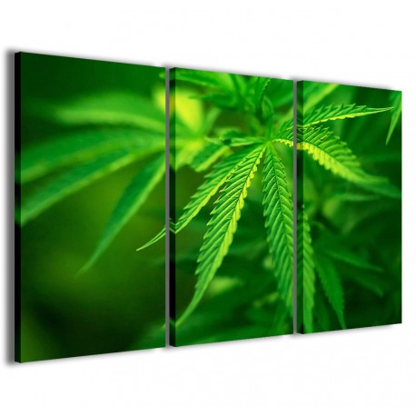 Quadro Poster Tela Cannabis Foliage 120x90 - 1