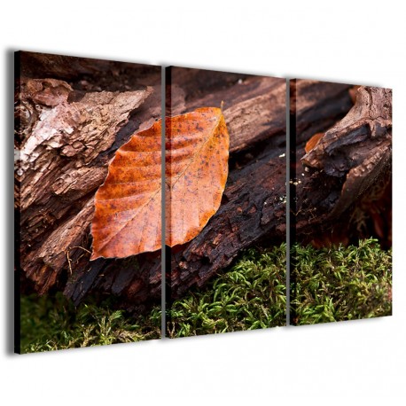 Quadro Poster Tela Foliage Composition 120x90 - 1