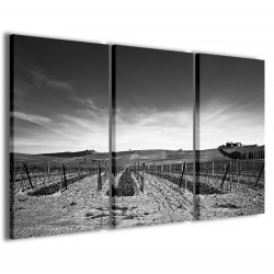 Quadro Poster Tela Foto Colline Senesi 120x90