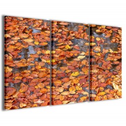 Quadro Poster Tela Foto Colorful Nature 120x90