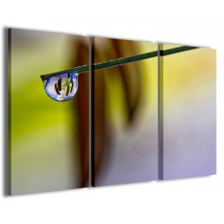 Quadro Poster Tela Flower Reflected 120x90 - 1