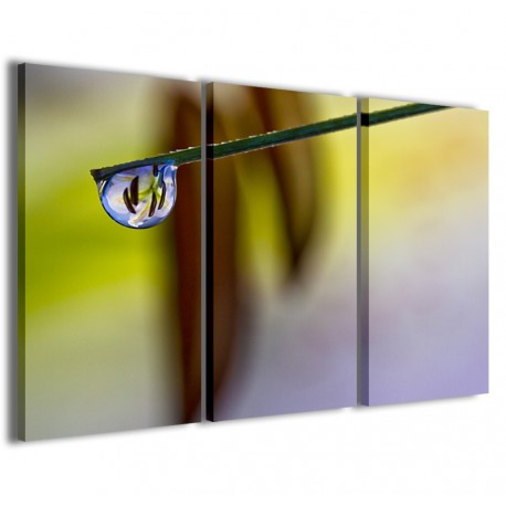 Quadro Poster Tela Flower Reflected 120x90 - 1