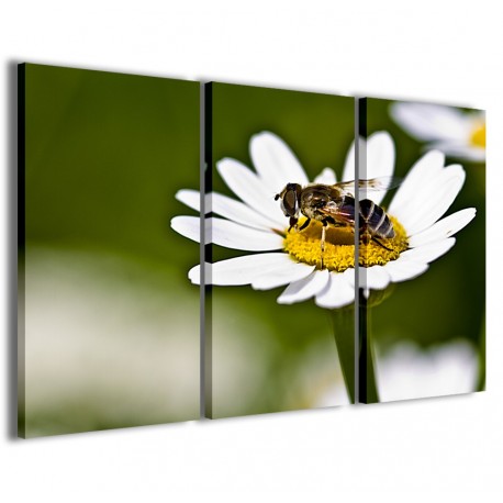 Quadro Poster Tela Insect Macro II 120x90 - 1