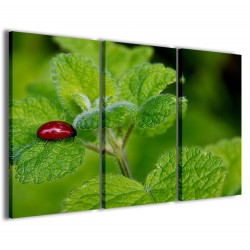 Quadro Poster Tela Ladybug 120x90