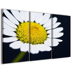 Quadro Poster Tela Macro Daisy I 120x90