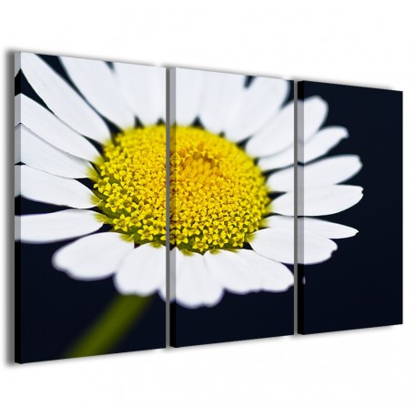 Quadro Poster Tela Macro Daisy I 120x90 - 1