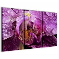 Quadro Poster Tela Macro Orchidea 120x90