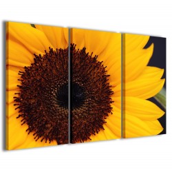Quadro Poster Tela Macro Sunflower 120x90