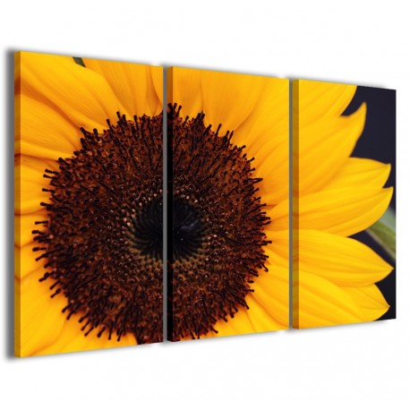 Quadro Poster Tela Macro Sunflower 120x90 - 1
