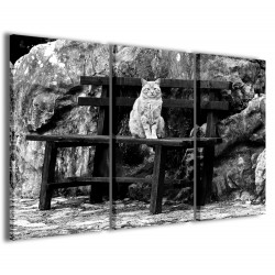 Quadro Poster Tela Old Cat 120x90