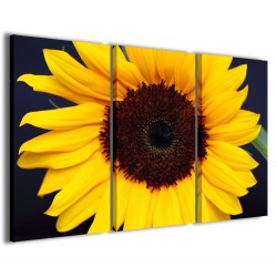 Quadro Poster Tela Foto Sunflower III 120x90