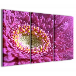 Quadro Poster Tela Foto The Beatiful Flowers 120x90