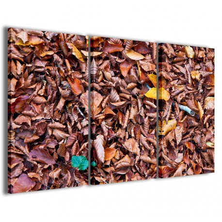 Quadro Poster Tela Foto The Colors of Autumn 120x90 - 1