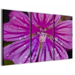 Quadro Poster Tela Foto Wildflower 120x90