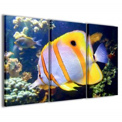 Quadro Poster Tela Butterfly Fish 120x90