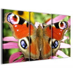 Quadro Poster Tela Butterfly II 120x90