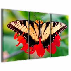 Quadro Poster Tela Butterfly 120x90