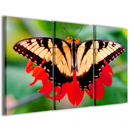 Quadro Poster Tela Butterfly 120x90 - 1