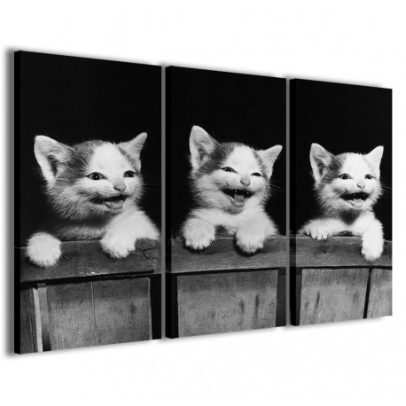 Quadro Poster Tela Cat Smiling 120x90 - 1