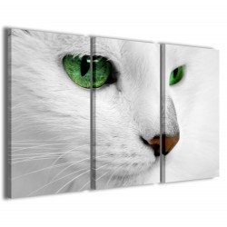 Quadro Poster Tela Cat 120x90 - 1