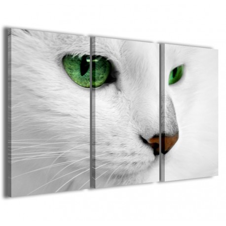 Quadro Poster Tela Cat 120x90 - 1