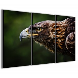 Quadro Poster Tela Eagle III 120x90