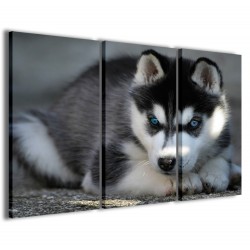 Quadro Poster Tela Husky 120x90