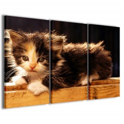 Quadro Poster Tela Kitty II 120x90 - 1