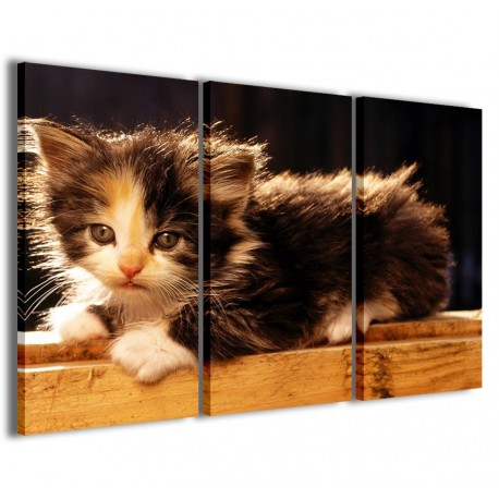 Quadro Poster Tela Kitty II 120x90 - 1