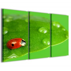 Quadro Poster Tela Ladybug in Green 120x90