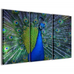 Quadro Poster Tela Peacock Illsuion II 120x90