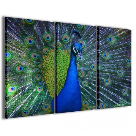 Quadro Poster Tela Peacock Illsuion II 120x90 - 1