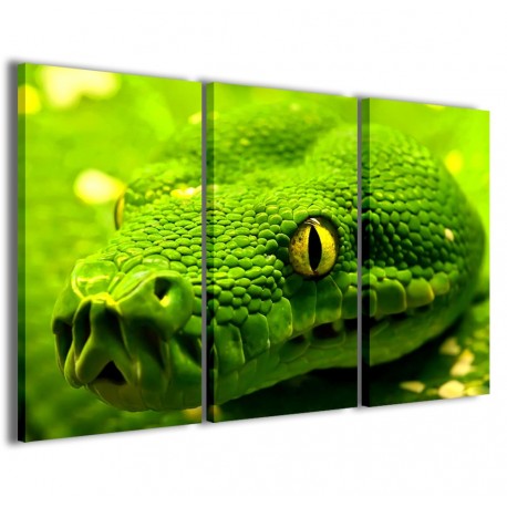 Quadro Poster Tela Snake Green II 120x90 - 1