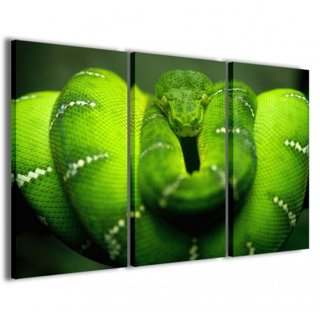 Quadro Poster Tela Snake Piton 120x90 - 1