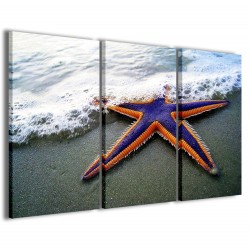 Quadro Poster Tela Starfish II 120x90