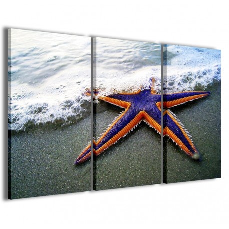 Quadro Poster Tela Starfish II 120x90 - 1