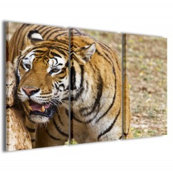 Quadro Poster Tela Tigre 120x90