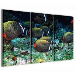 Quadro Poster Tela Tropical Fish 120x90