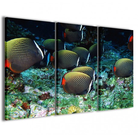 Quadro Poster Tela Tropical Fish 120x90 - 1
