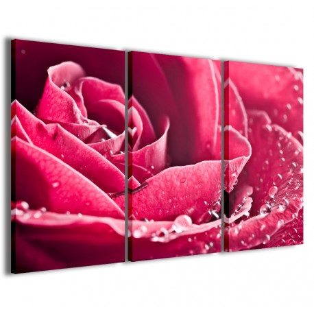 Quadro Poster Tela Beatiful Rose 120x90 - 1