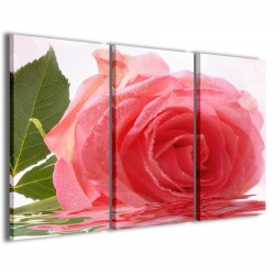 Quadro Poster Tela Beatiful Rose II 120x90