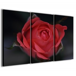 Quadro Poster Tela Bouche Rose 120x90