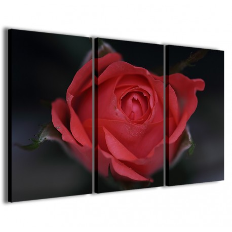 Quadro Poster Tela Bouche Rose 120x90 - 1