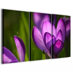 Quadro Poster Tela Crocus Spring 120x90 - 1