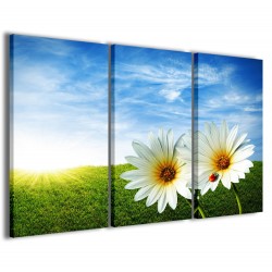 Quadro Poster Tela Daisies 120x90