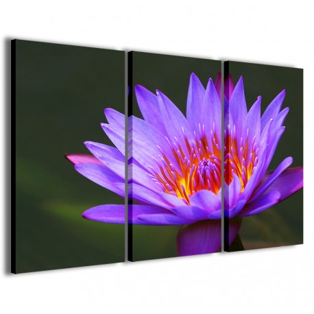 Quadro Poster Tela Flower Water II 120x90 - 1