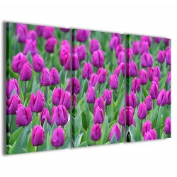 Quadro Poster Tela Holland Tulips 120x90