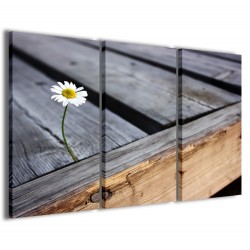 Quadro Poster Tela Lonely Daisy 120x90