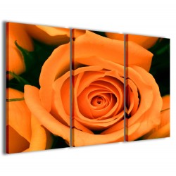 Quadro Poster Tela Orange Rose Flower 120x90